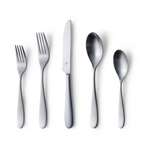Fidenza 40-Piece Matte